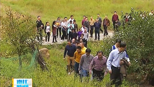 科级干部进修班：实地教学 强素质提水平 - 憨鼠网