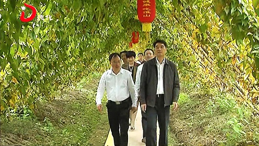 省农业农村厅领导到德化县开展调研工作 - 憨鼠网