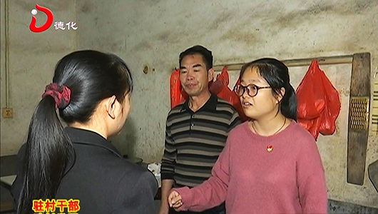驻村女书记黄清霞：驻村“助”就美丽杨梅 - 憨鼠网