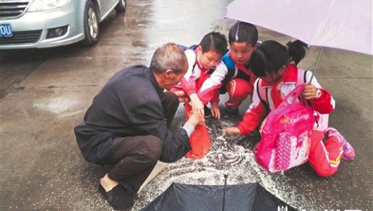寒雨中的暖心一幕 德化小学生放学途中帮老人捡米 - 憨鼠网