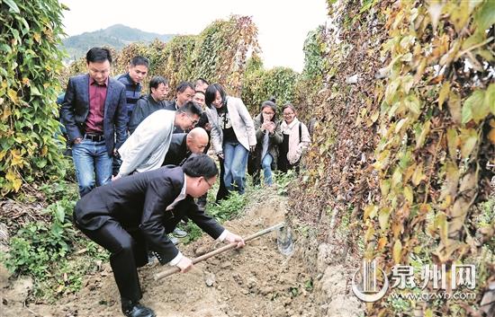把“美丽优势”转化为“经济优势” - 憨鼠网