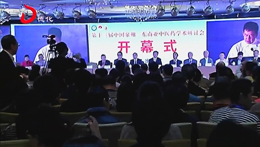 第十三届中国泉州——东南亚中医药学术研讨会在德化举行 - 憨鼠网