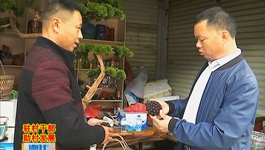 戴云村：立足优势 主动对焦脱贫攻坚 - 憨鼠网