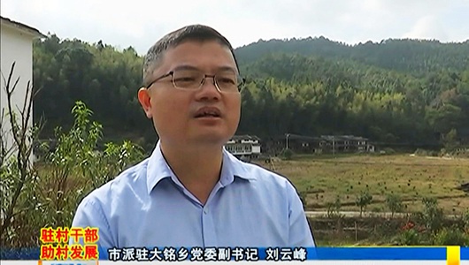 刘云峰：立足实际见真效 土地整理助脱贫 - 憨鼠网