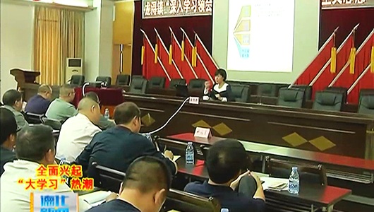 龙浔镇：开展“大学习”专题讲座 增强干事创业精气神 - 憨鼠网