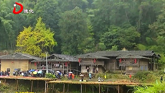 第二届银杏文化旅游节：杏会杨梅 丁荣之旅 - 憨鼠网