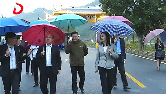 市领导杨晓山到德化县调研旅游工作 - 憨鼠网