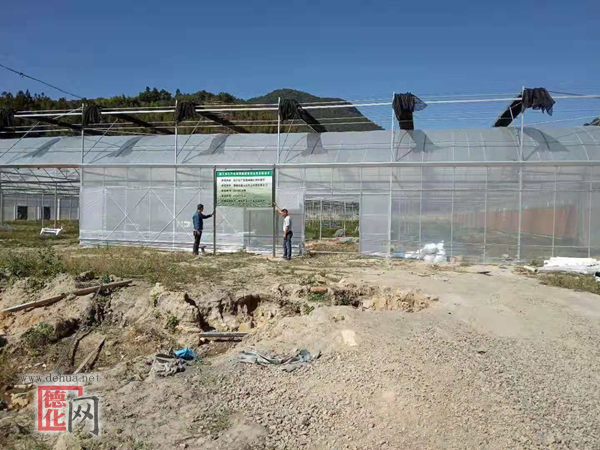 德化县完成2018年省级财政花卉产业发展项目 - 憨鼠网