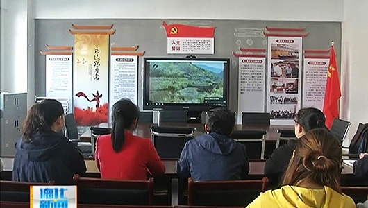 党支部结对共建 优势互补促发展 - 憨鼠网