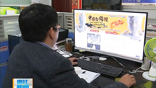 “中国白锦鲤”活动如火如荼进行中 - 憨鼠网