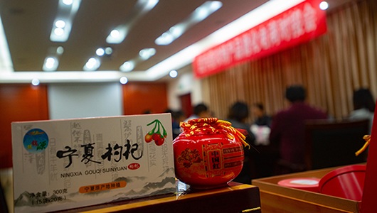 红寺堡枸杞企业与德化县企业达成初步合作意向 - 憨鼠网