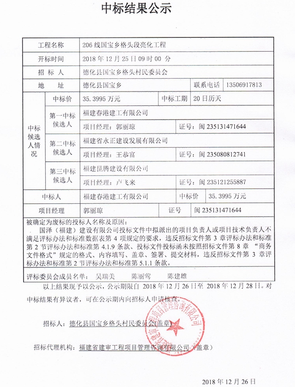 206线国宝乡格头段亮化工程中标结果公示 - 憨鼠网