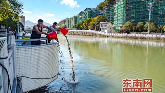 8.5万尾鱼苗游入浐溪 守护绿水清流 - 憨鼠网