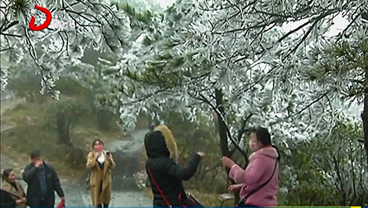 九仙山：雨雾凇美景 晶莹剔透 - 憨鼠网
