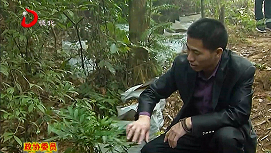 陈利忠：研究种植中草药 带动群众增收 - 憨鼠网
