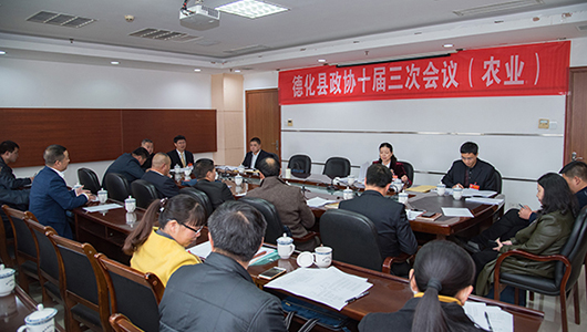 德化县政协委员分组讨论相关工作报告 - 憨鼠网
