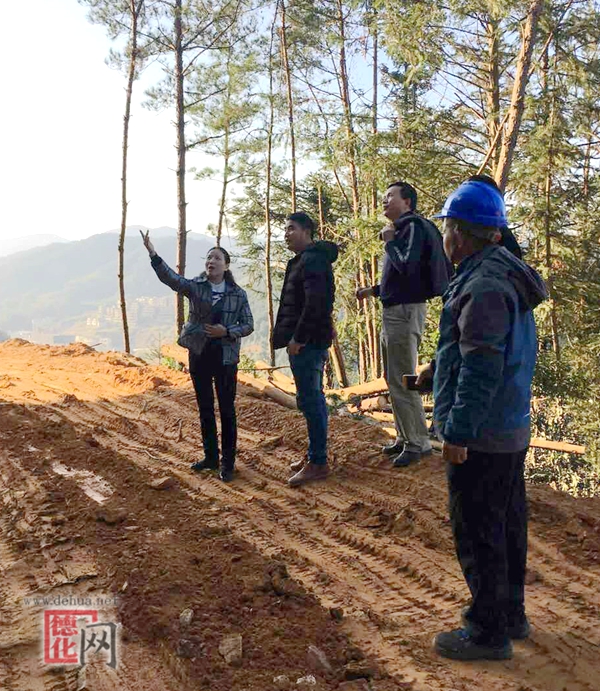 县政协主席视察唐寨山森林公园提升工程项目建设情况 - 憨鼠网
