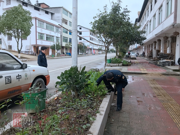 绿化带可以种菜吗？不可以！ - 憨鼠网
