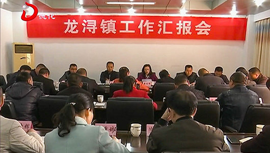 龙浔镇落实全面从严治党主体责任检查考评情况反馈会召开 - 憨鼠网