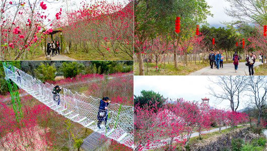 桃仙溪：桃花竞相怒放 游客纷至沓来 - 憨鼠网