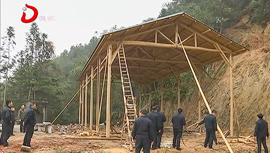 浔中镇：依法强制拆除“两违”搭建 - 憨鼠网