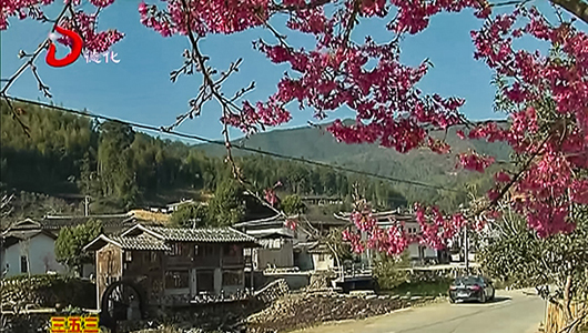 雷峰镇：潘祠李溪乡村游精品线路逐渐成型 - 憨鼠网