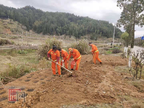 公路用地上种菜不可取 - 憨鼠网