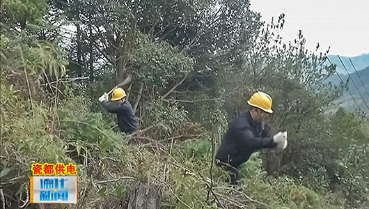 县供电公司：电力线路清障 确保雨季用电安全 - 憨鼠网