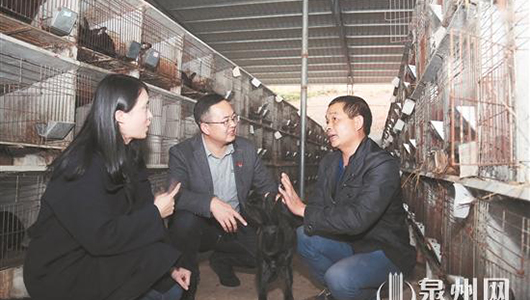 开展专项交叉巡察 压实脱贫攻坚责任 - 憨鼠网