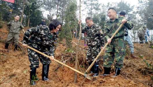 德化县四套班子领导带头义务植树再添绿 - 憨鼠网
