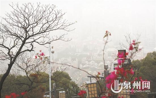 雨停了 天晴了 可以愉快出行了 - 憨鼠网