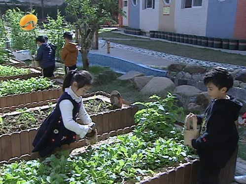 德化：怎样才能用爱潜心育花蕾？这位女教师这样做……快来“取经”！ - 憨鼠网