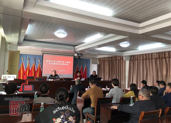 桂阳乡召开村“两委”平安建设业务培训会 - 憨鼠网