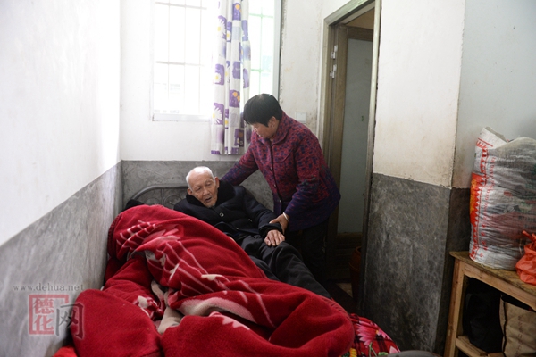37年风雨无畏，只为陪你一起到老 - 憨鼠网