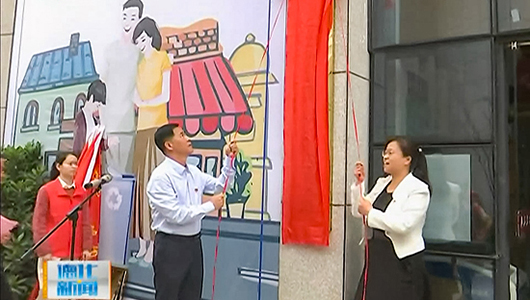 龙浔镇成立新时代文明实践所和志愿服务支队 - 憨鼠网