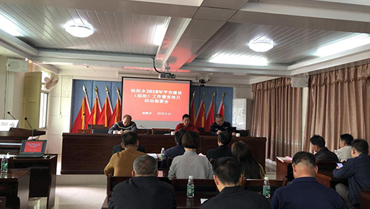 桂阳乡开展平安建设（综治）宣传月系列活动 - 憨鼠网