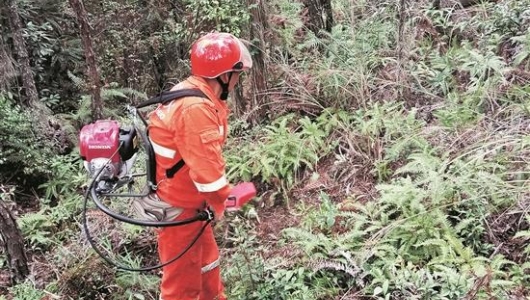 “山大王”护林员：巡视严防山火 守护生态绿肺 - 憨鼠网
