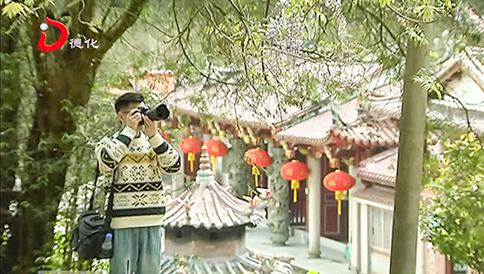 美湖镇：浪漫紫藤花扮靓古镇春色 - 憨鼠网