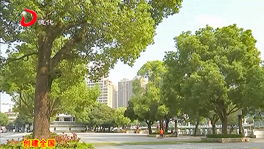 县城市管理局：综合整治城市环境设施 - 憨鼠网