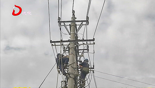 上涌供电所：更换避雷器和绝缘子 提升电网避雷效果 - 憨鼠网