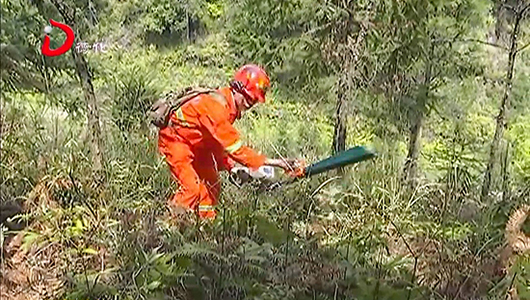 林国德：护林守山 为后代留下一片绿 - 憨鼠网