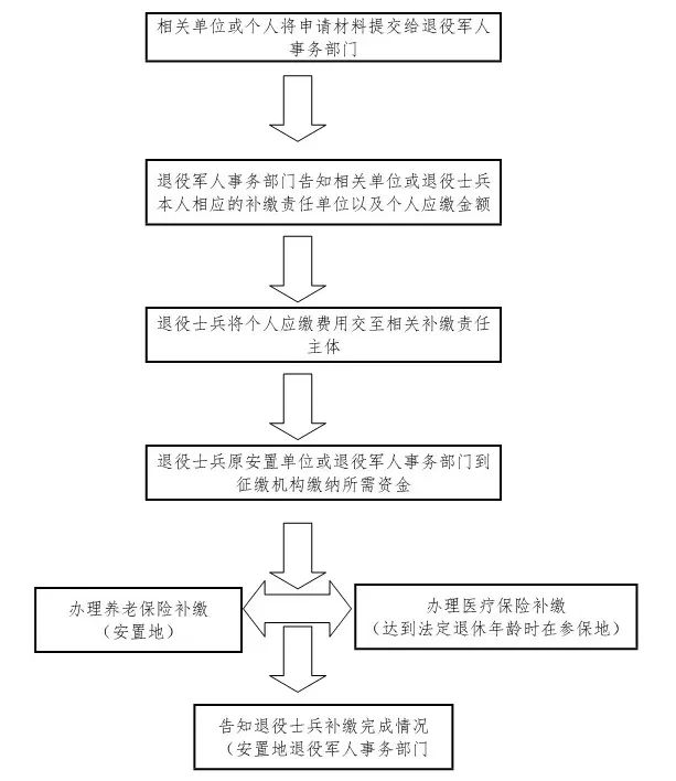 公 告 - 憨鼠网
