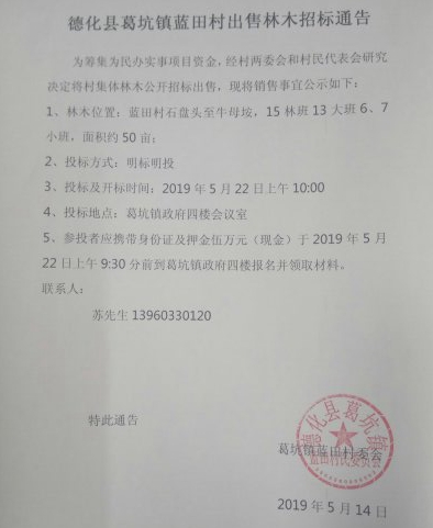 德化县葛坑镇蓝田村出售林木招标通告 - 憨鼠网