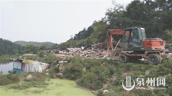 非法养猪场被拆除 - 憨鼠网