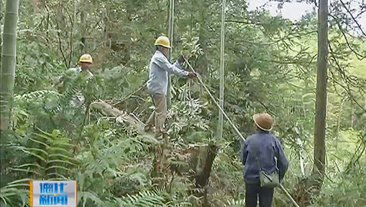 县供电公司：电力线路改造 提高供电可靠性 - 憨鼠网
