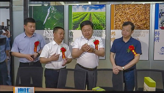 石冻王全国运营中心在泉州揭牌成立 - 憨鼠网