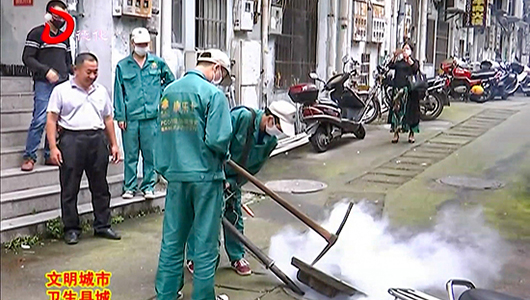 城区除四害 保障群众身体健康 - 憨鼠网