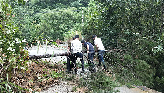 风雨吹倒树木阻碍交通，警民合理清理路障 - 憨鼠网