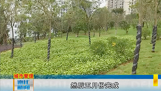 驾云亭公园扩建项目：完成生态园林景观区建设 - 憨鼠网