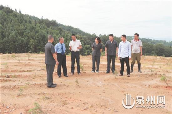 德化践行恢复性生态司法：办理一个案件 恢复一片青山 - 憨鼠网